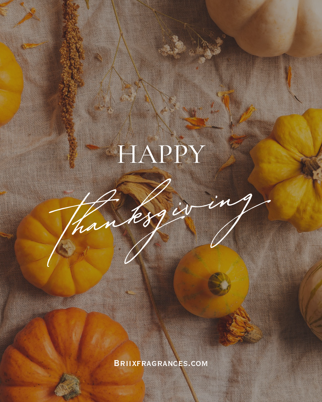 Happy Thanksgiving!